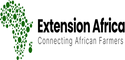 Extaf